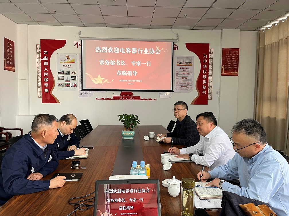 中國(guó)電子元件行業(yè)協(xié)會(huì)電容器分會(huì)副秘書長(zhǎng)凌建民一行深入黃山振州考察調(diào)研